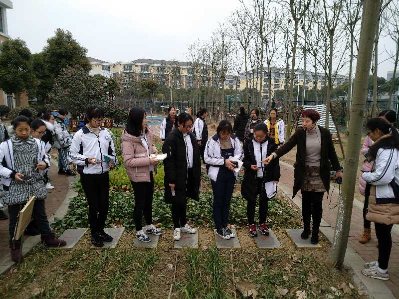 学前16级半日见习活动-常州幼儿师范学校主站